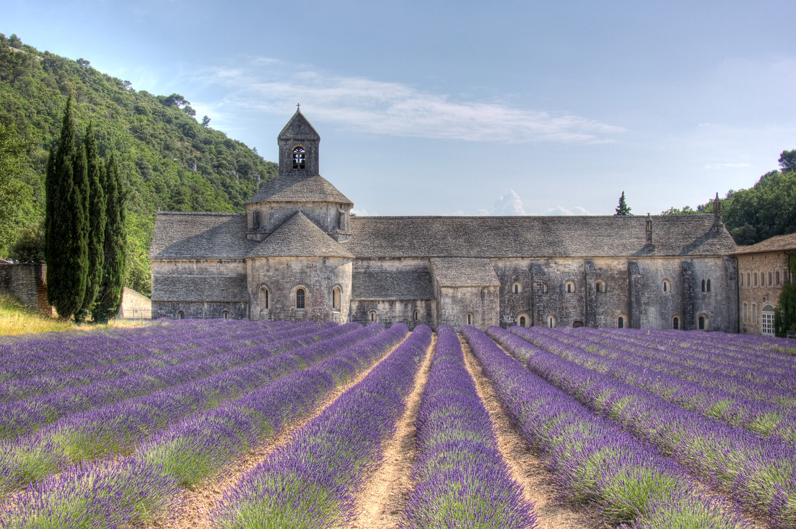 Abbaye de Sénanque, Gordes